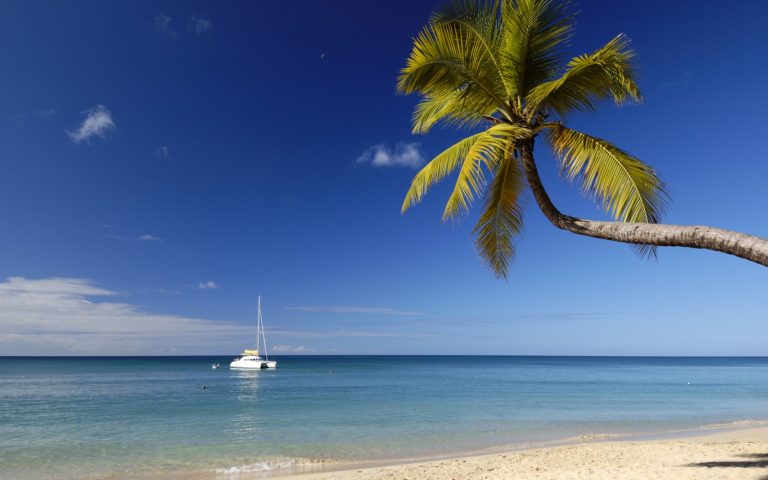 Playa "Anse des Salines", Martinica