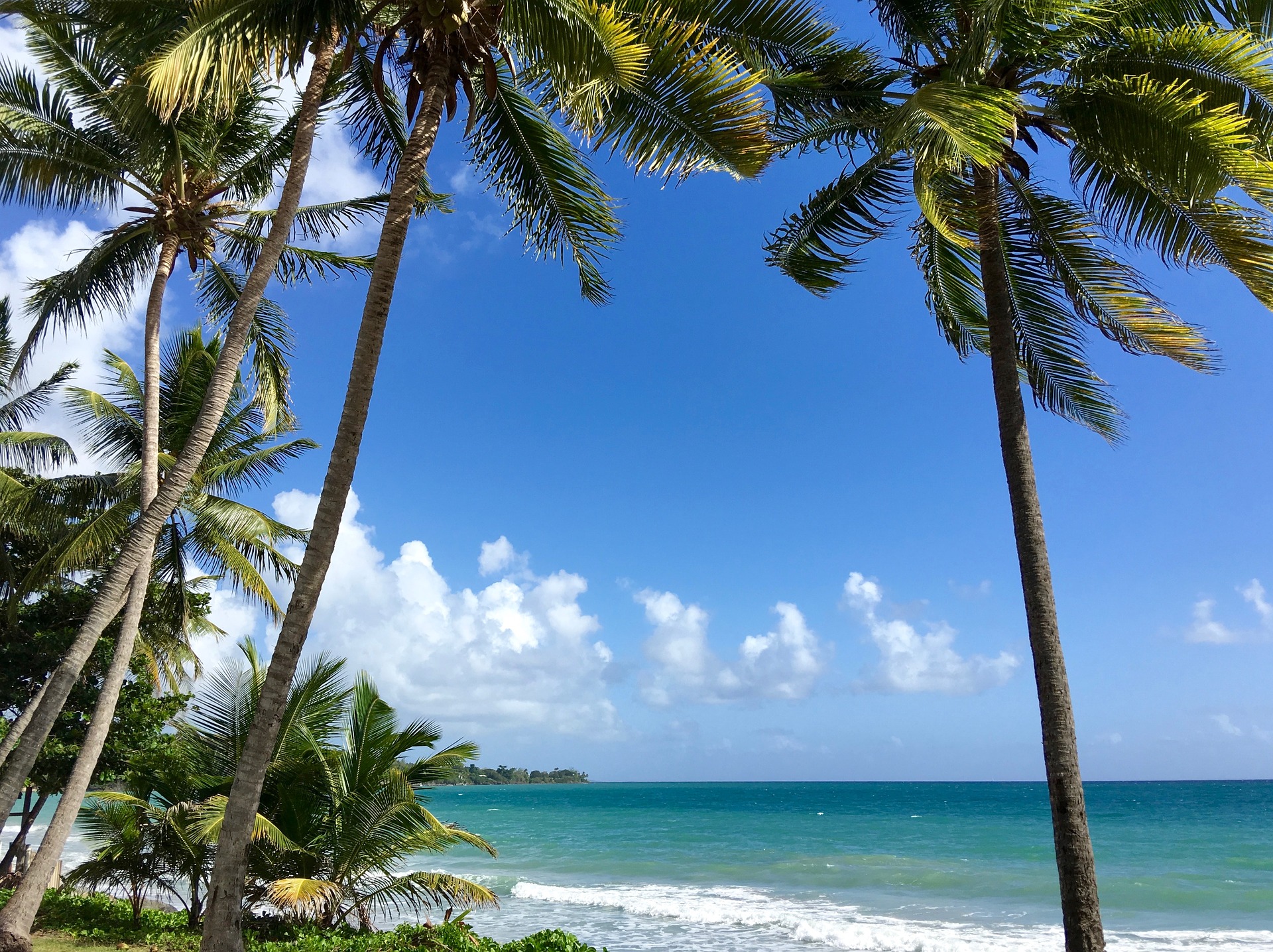 Itinerario por Martinica: 9 días de navegación por las Granadinas