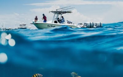 Reserva un viaje de pesca guiado en Ibiza