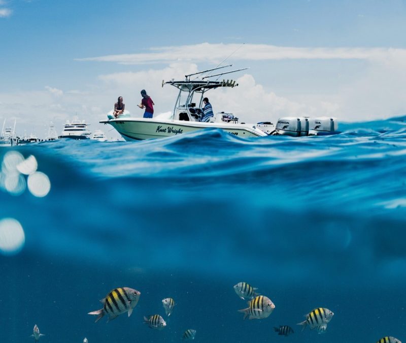 Reserva un viaje de pesca guiado en Ibiza
