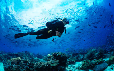 Alquiler de barcos para buceo y excursiones en Bahamas