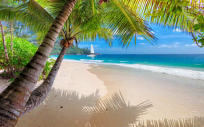 ¿Qué barco es mejor para navegar en el Caribe?