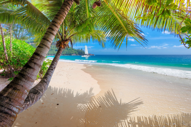 ¿Qué barco es mejor para navegar en el Caribe?